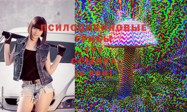 амфетамин Алексин