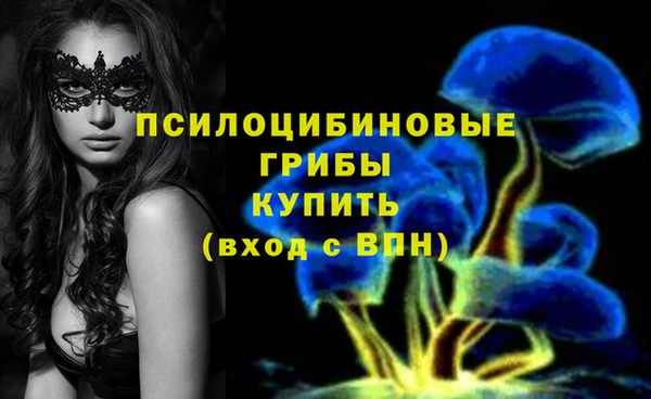 амфетамин Алексин