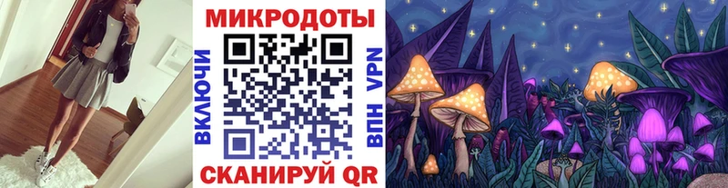 мега ссылка  цены наркотик  Алексеевка  Галлюциногенные грибы ЛСД 
