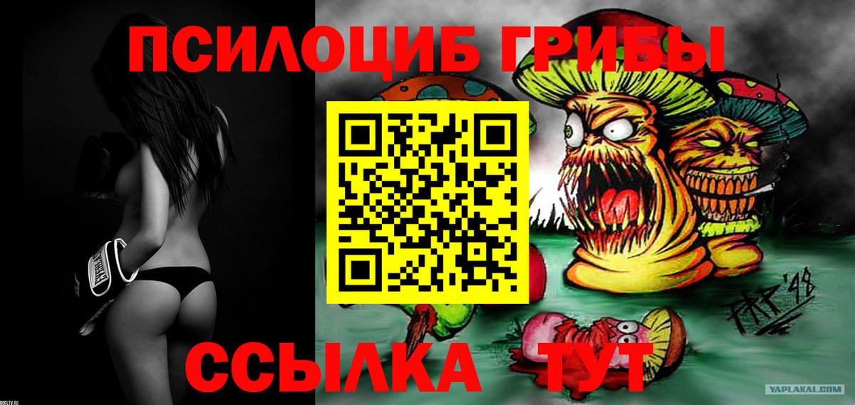 Алексеевка  Псилоцибиновые грибы мицелий  наркошоп  Вход с VPN 